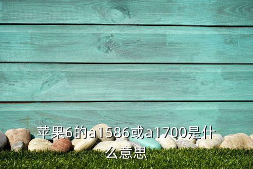 821-1700-a什么意思,苹果手机a1700是什么?