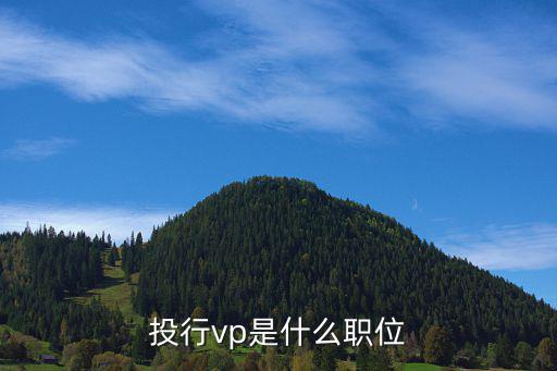 投行vp是什么职位