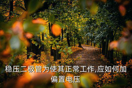 稳压二极管加什么电压,稳压二极管怎么接?