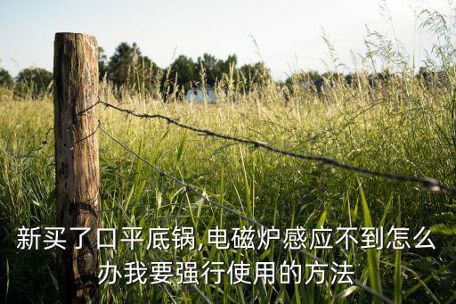 新买了口平底锅,电磁炉感应不到怎么办我要强行使用的方法