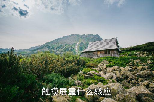 触摸屏靠什么感应