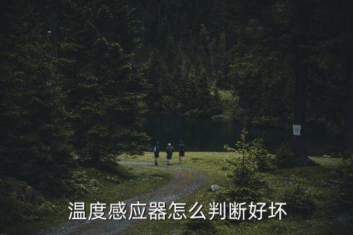  温度感应器怎么判断好坏