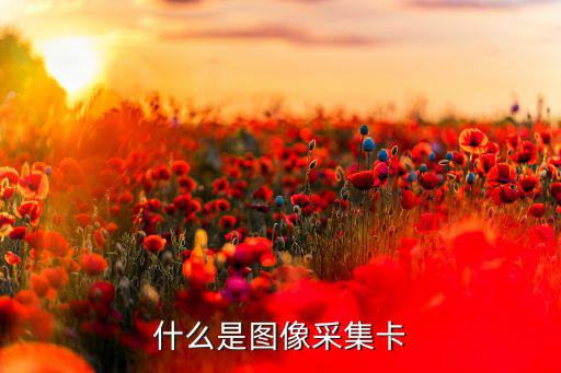什么是图像采集卡