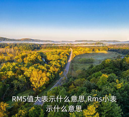 rmst什么意思,保护数字内容安全技术rms