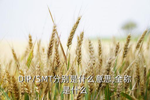 DIP/SMT分别是什么意思,全称是什么