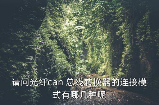 请问光纤can 总线转换器的连接模式有哪几种呢