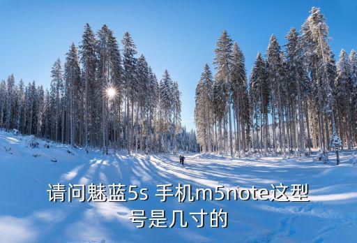 请问魅蓝5s 手机m5note这型号是几寸的