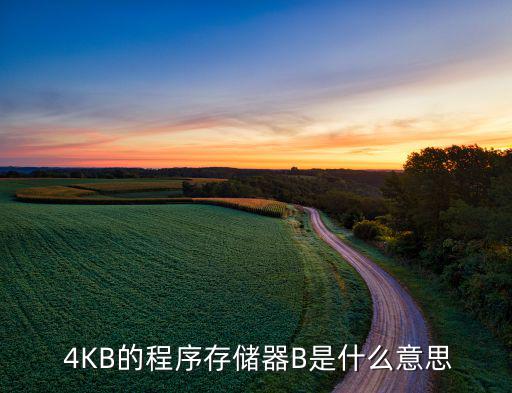  4KB的程序存储器B是什么意思