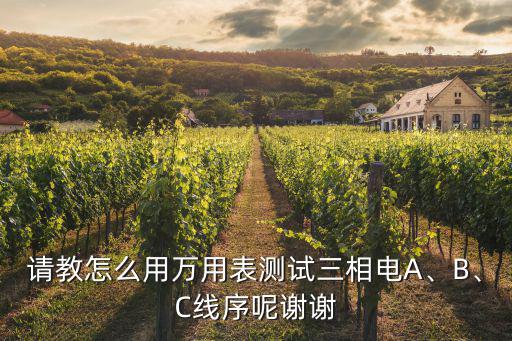 请教怎么用万用表测试三相电A、B、C线序呢谢谢