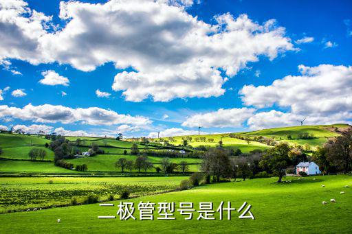 二极管型号是什么