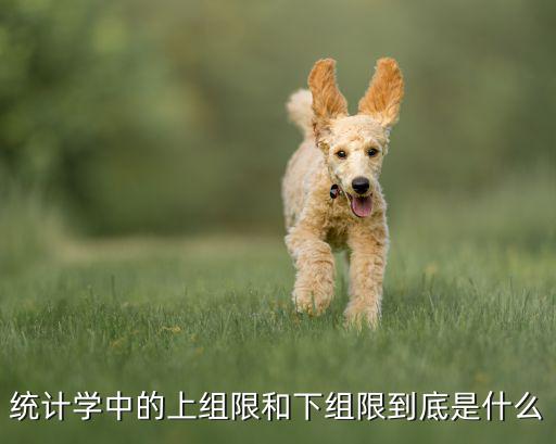 统计学中的上组限和下组限到底是什么