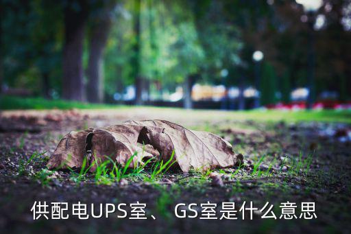 供配电UPS室、 GS室是什么意思