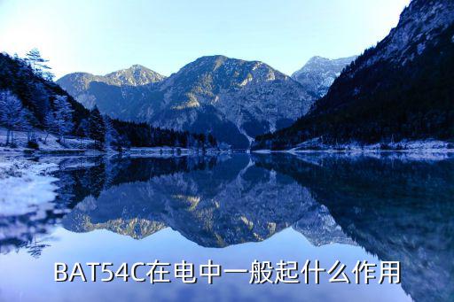 BAT43W起什么作用,bat54c在电中起什么作用