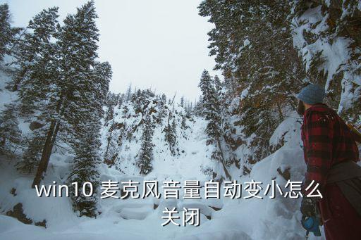 麦克风偏置是什么,怎么用capacitor麦克风?