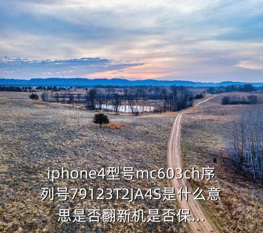 iphone4型号mc603ch序列号79123T2JA4S是什么意思是否翻新机是否保...