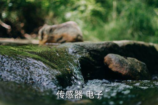  传感器 电子