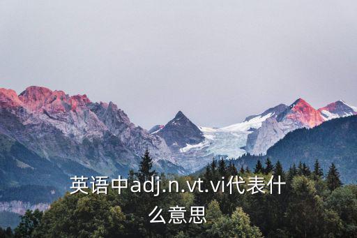 英语中adj.n.vt.vi代表什么意思