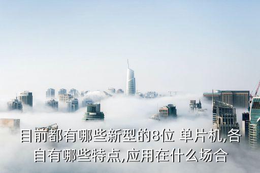 什么是8位单片机,多周期复杂指令集单片pc运算速度快一倍
