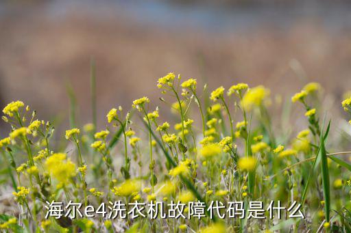 海尔e4洗衣机故障代码是什么