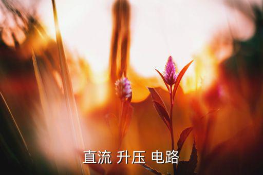 直流 升压 电路