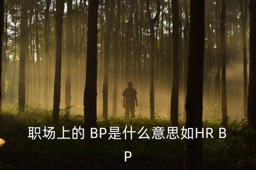 职场上的 BP是什么意思如HR BP