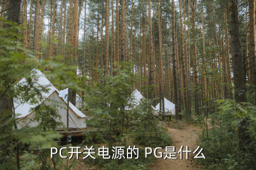 PC开关电源的 PG是什么