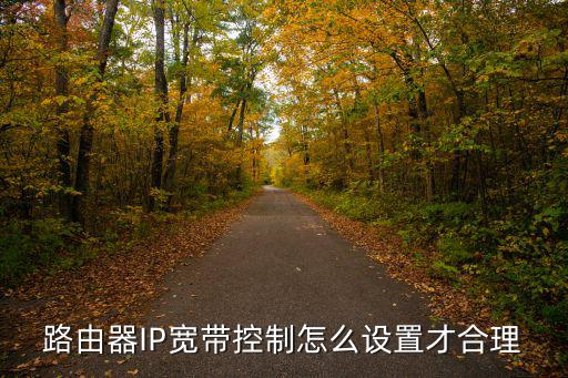 lp宽带控制是什么,无线路由器ip宽带控制怎么设置才合理?