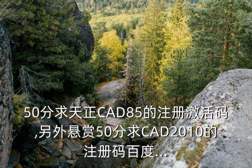 50分求天正CAD85的注册激活码,另外悬赏50分求CAD2010的注册码百度...