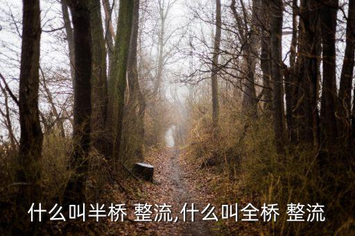 什么叫半桥 整流,什么叫全桥 整流