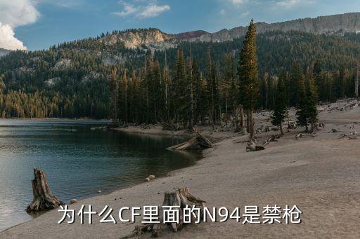为什么CF里面的N94是禁枪