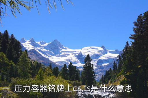 批号cs 是什么意思,没有cs标志压力容器为何不能使用?