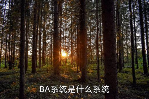 ba系统中fs表示什么,楼宇自动化系统是什么系统?