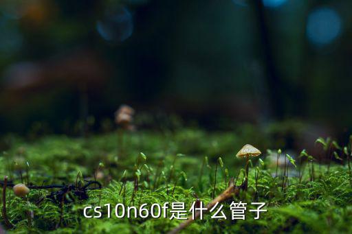 cs10n60f是什么管子