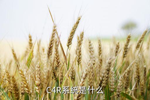 C4R系统是什么