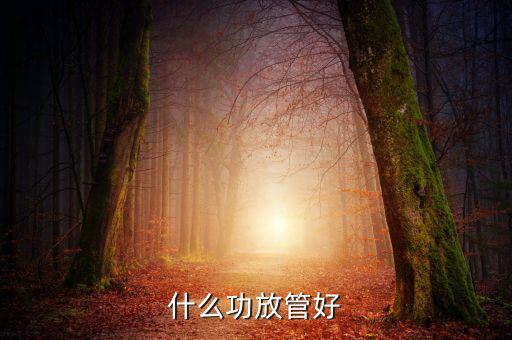 什么功放管好