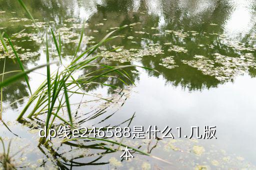 dp线e246588是什么1.几版本