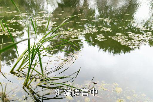 32为什么是20h,mova和20h在汇编语言中有何不同?