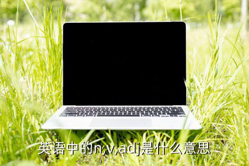 ADJSN是什么意思,英语单词根据功能主要分两类