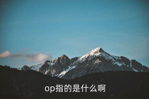 供应商op是什么,如何当好调度员?