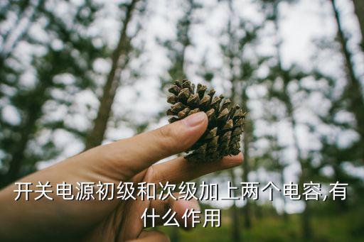 电源初级什么意思,怎么识别电瓶充电器初级钱圈和次级钱盒?