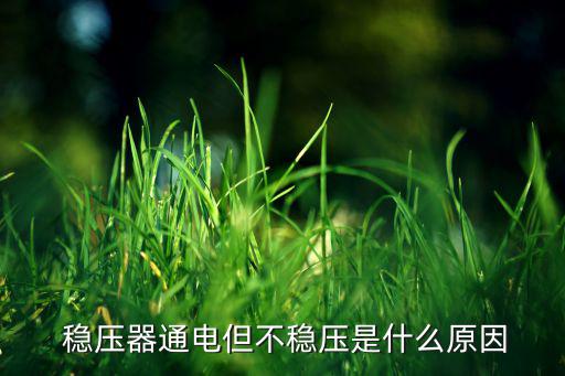  稳压器通电但不稳压是什么原因