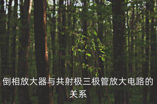 什么是电路倒相作用,倒相放大器什么是倒相电路?
