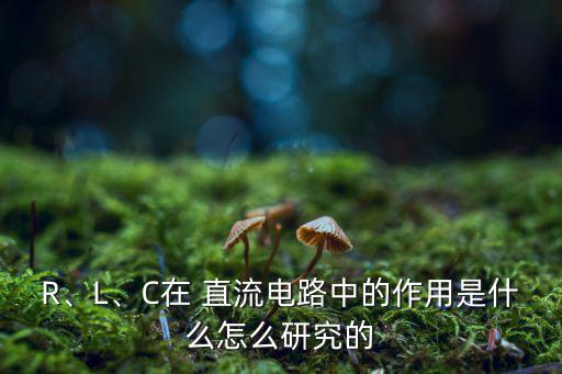 R、L、C在 直流电路中的作用是什么怎么研究的