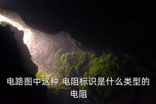 电路图中这种 电阻标识是什么类型的 电阻