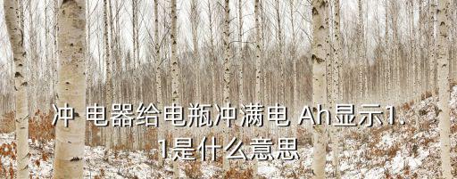 冲 电器给电瓶冲满电 Ah显示1.1是什么意思