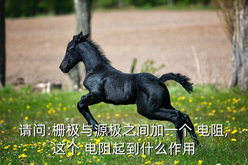 电阻栅什么意思,安全栅功能简介