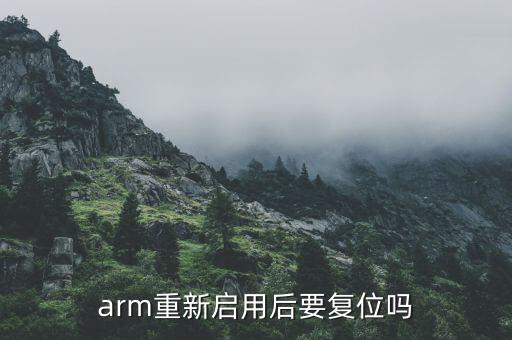 arm重新启用后要复位吗