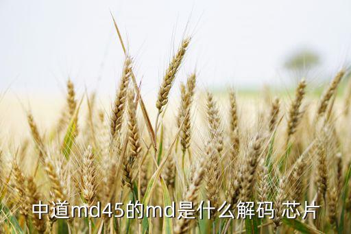 中道md45的md是什么解码 芯片