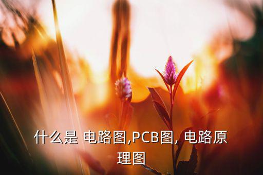 什么是 电路图,PCB图, 电路原理图