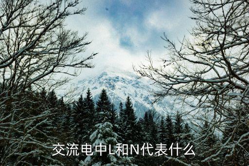 交流电中L和N代表什么